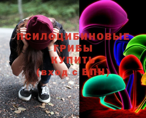 бошки Нефтегорск