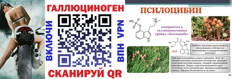 blacksprut ССЫЛКА  Сызрань  Галлюциногенные грибы Cubensis 