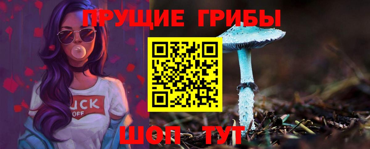 Сызрань  Галлюциногенные грибы ЛСД  Вход с VPN 